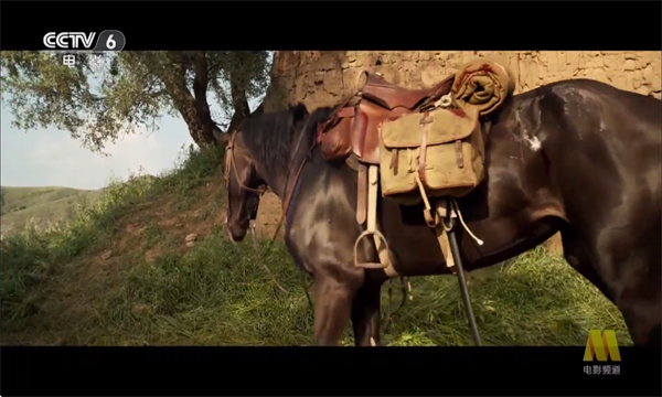 新款湘西旗舰TV最新版截图3