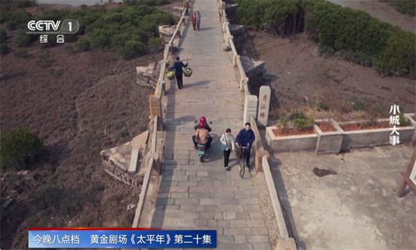 �½������ư�TV���°�