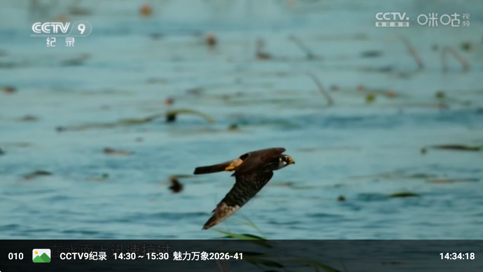 �ִ�ֱ��tv����