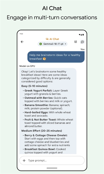�ȸ�AI�ٷ���(Edge Gallery)