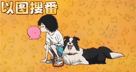 以图搜番