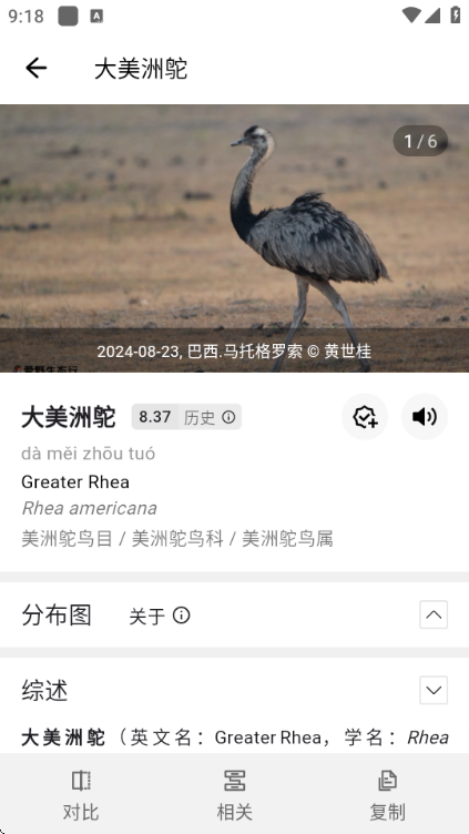 懂鸟全球鸟类识别官方 懂鸟全球鸟类识别官方