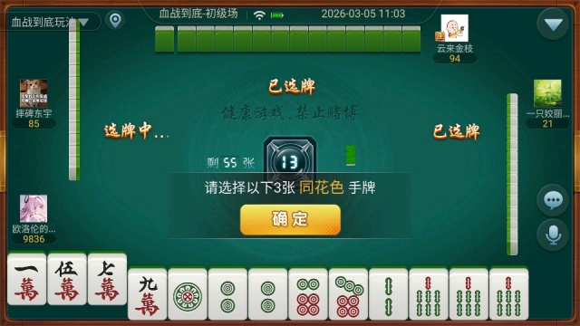 ����Ѫս��������