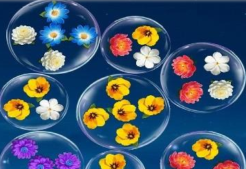 ����������Ϸ