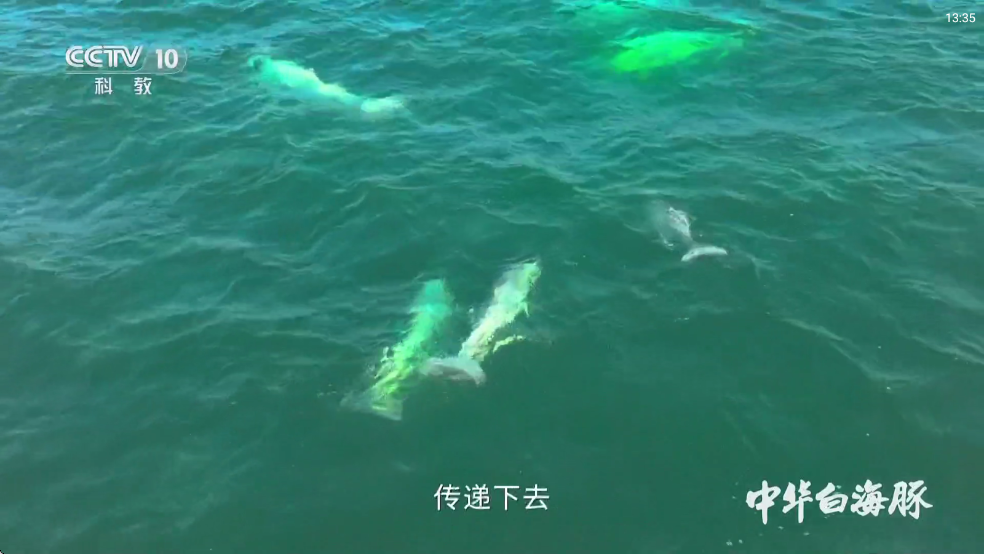 ��IPTV���°汾