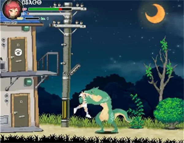 ������ս��dx��ֲ�氲װ����ͼ1