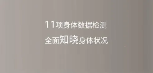 ��Ϊ������֬��2026�����ֻ���