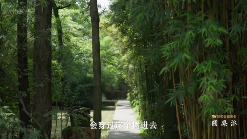 è��ʱ������