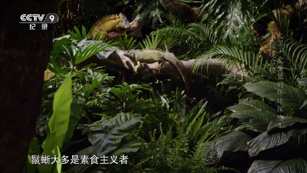 DIYP影音tv软件截图2