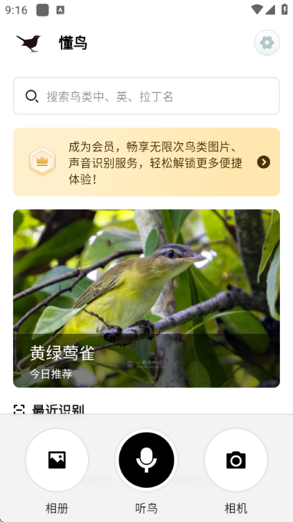 懂鸟全球鸟类识别官方截图2