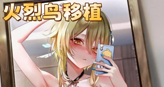 ��������ֲ