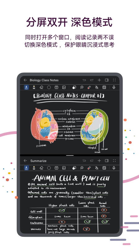 С���ʼ�2026�����ֻ����ͼ0