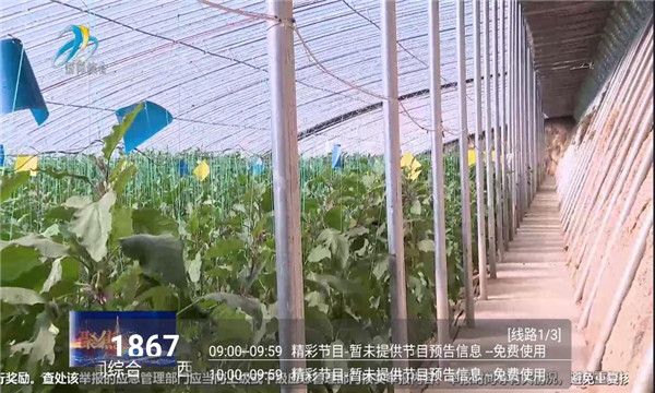 �ڻ�tv�ٷ����ͼ0