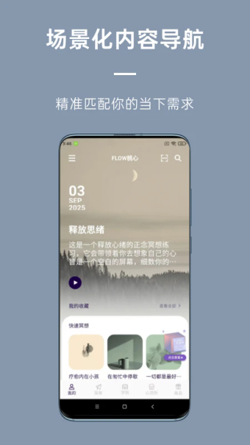 flow心流所2026最新版截图3