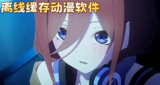 离线缓存动漫软件