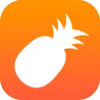 菠萝视频app最新版 v1.8