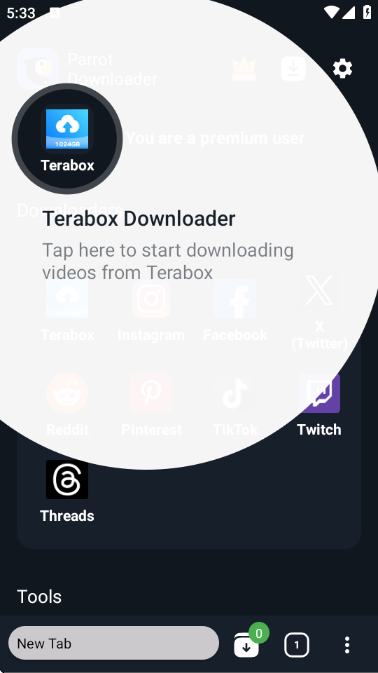 Parrot Downloader��Ѱ��ͼ1