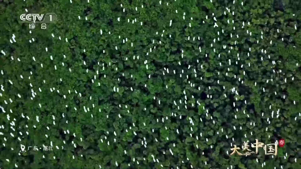 Ѹ��TV�ٷ����ͼ1