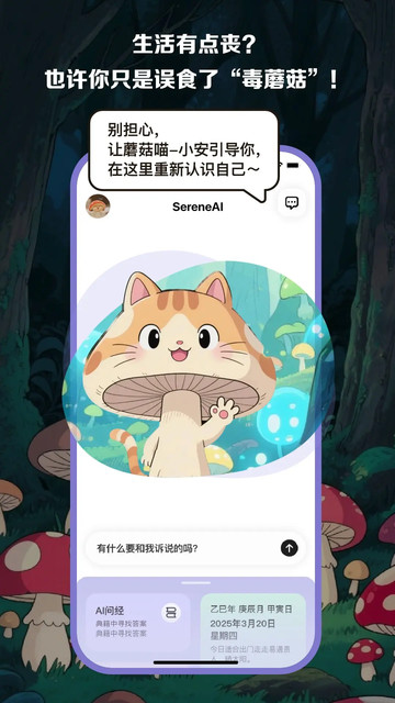 ���������°�app