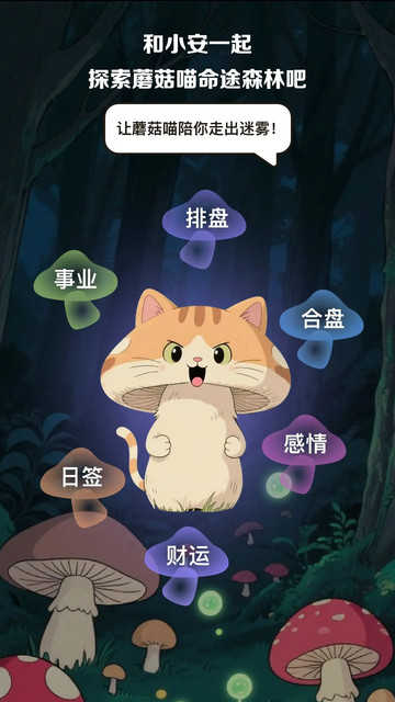 ���������°�app