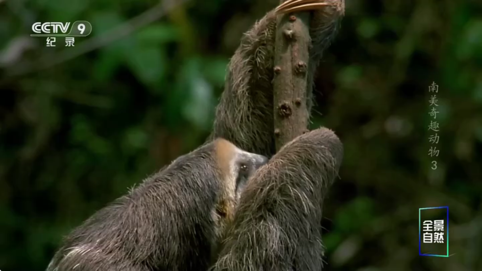 ����ֱ���ٷ���