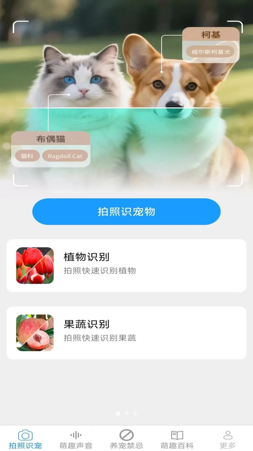 Ԫ������ٷ����°��ͼ0