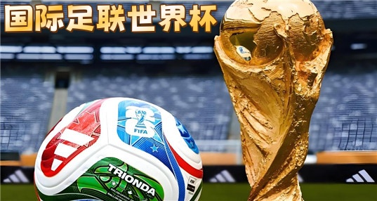 �����������籭