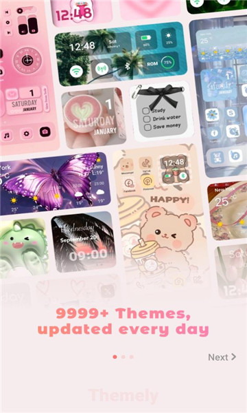 themely软件截图2