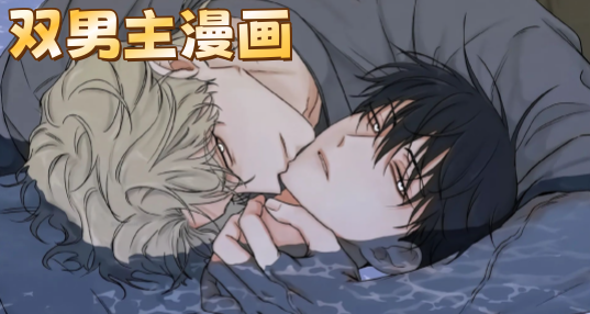 ˫��������