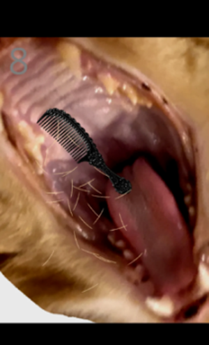 ��è��ë��׿��(Brush jjaemu)��ͼ3