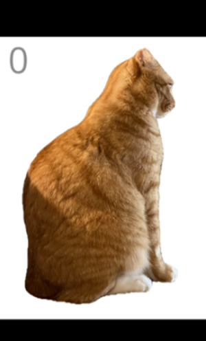 ��è��ë��׿��(Brush jjaemu)��ͼ0