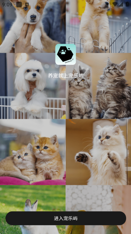 ������ٷ����ͼ2