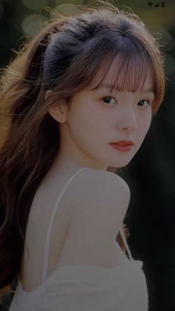 ������ٷ����ͼ1