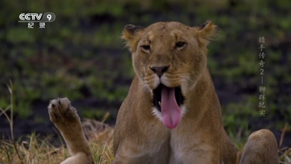 ����TV���Ӱ��ͼ3