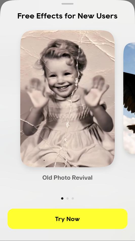 quokka ai���°��ͼ0