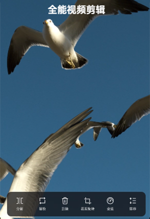 AI ���������׿���ͼ0