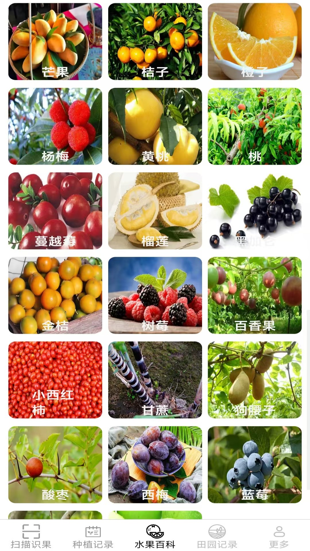 多宝果园2026最新安卓版截图2