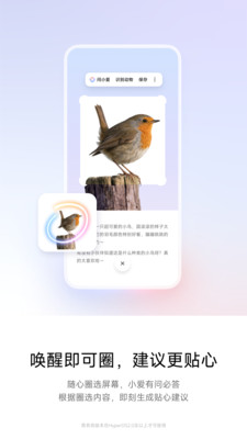 ����С�����°汾��ͼ1