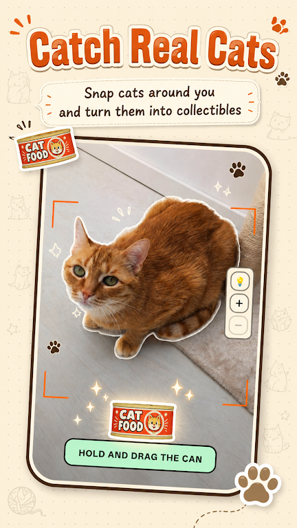 CatchCat安卓官方版截图 3