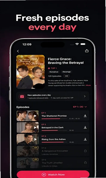 dramavibe短剧截图 1